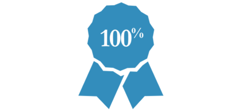 icon 100