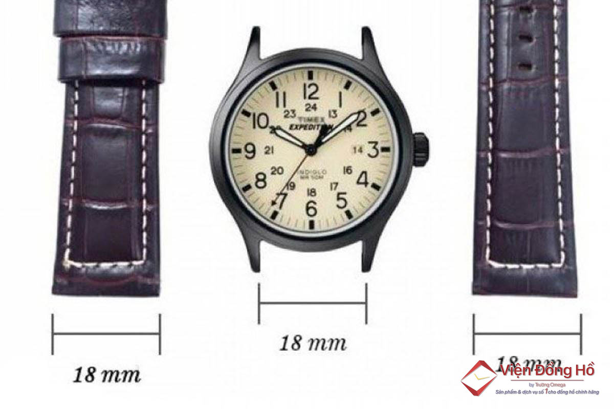 Một chiếc đồng hồ cân đối sẽ có tỉ lệ bề rộng dây đeo so với đường kính mặt đồng hồ vào khoảng ½