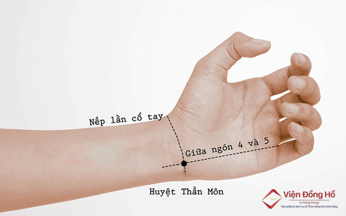 Trong y học Trung Quốc cho rằng không nên đeo đồng hồ tay trái bởi đây là vị trí có thể khiến huyệt thần môn bị ảnh hưởng