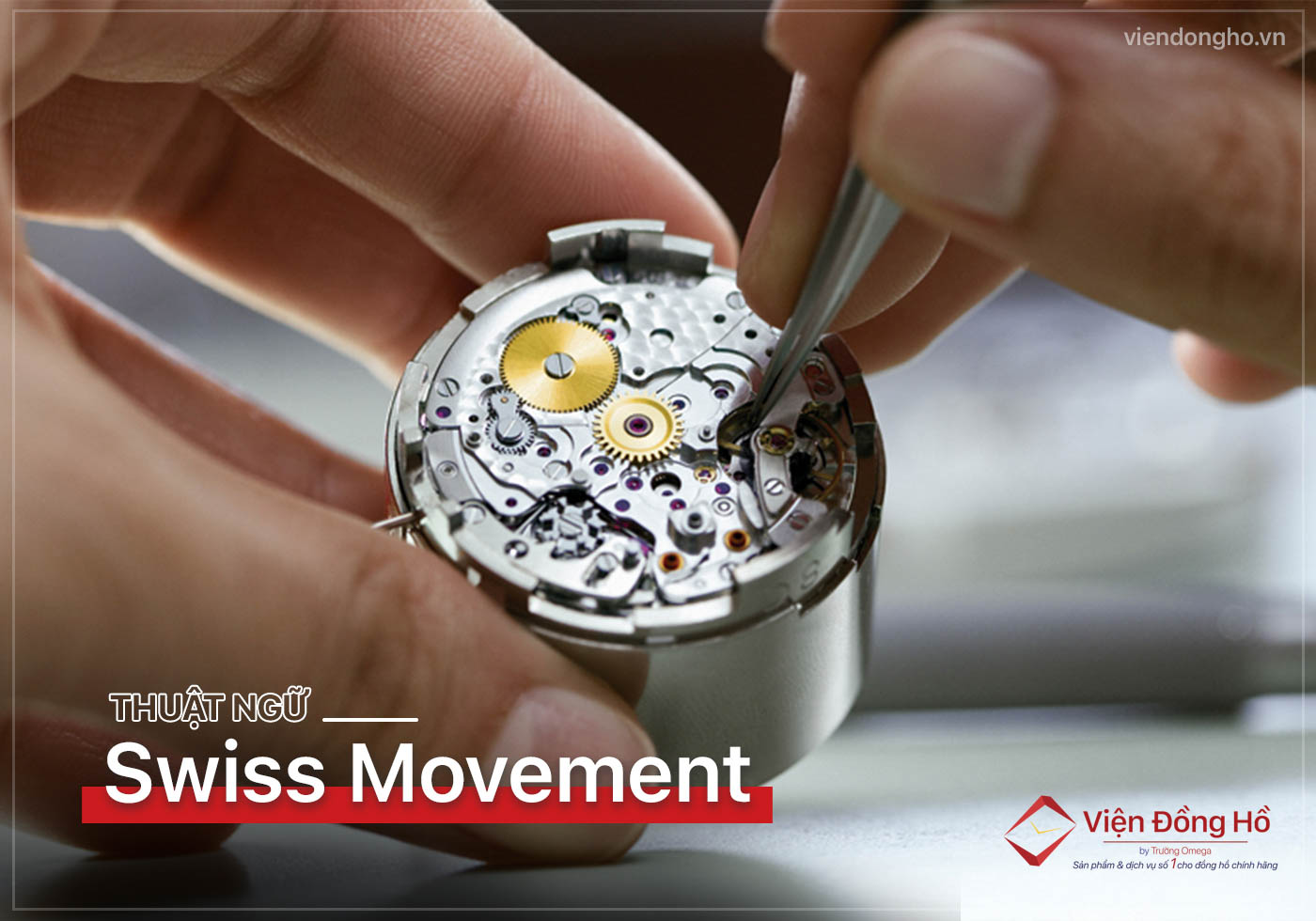 Swiss Movement la gi Co phai la Swiss Movt khong 6